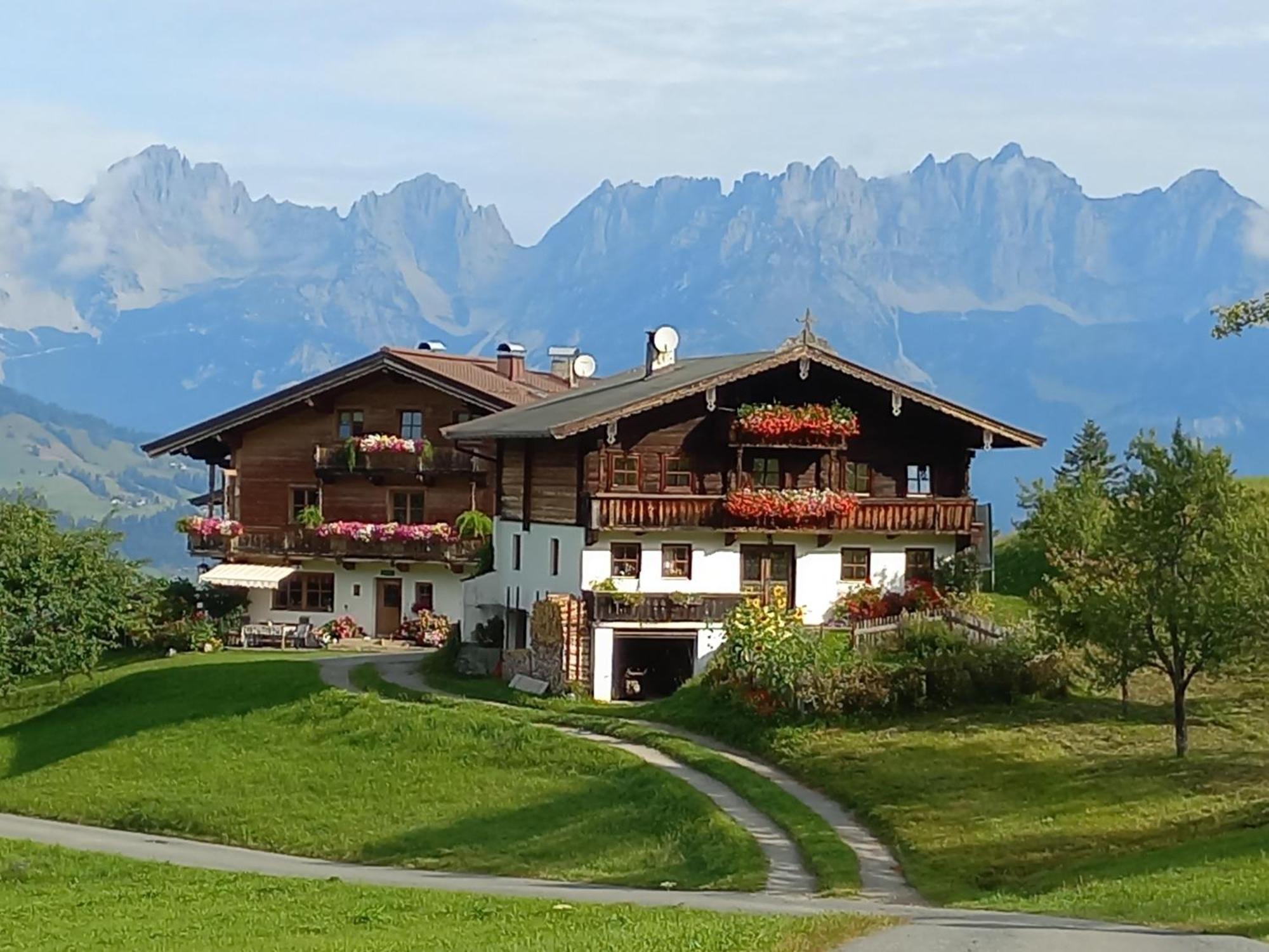 Hahnenkammblick *