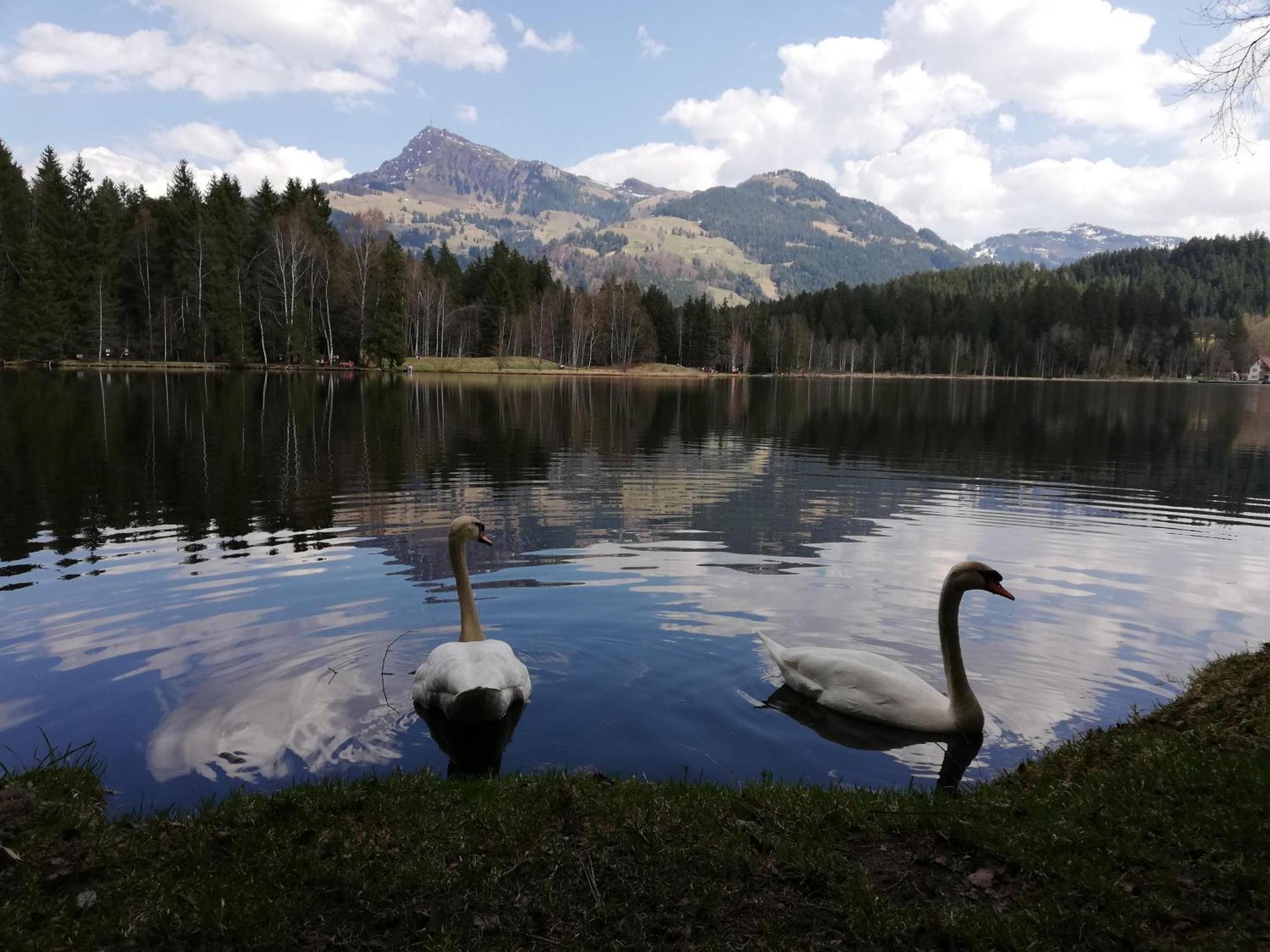 Hahnenkammblick Alloggio per agriturismo Kitzbühel