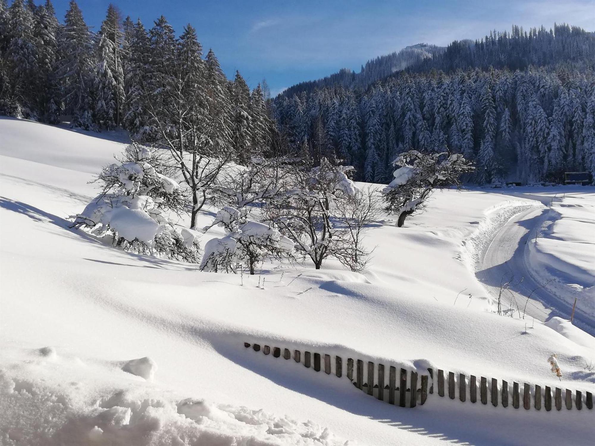 Hahnenkammblick * Kitzbühel